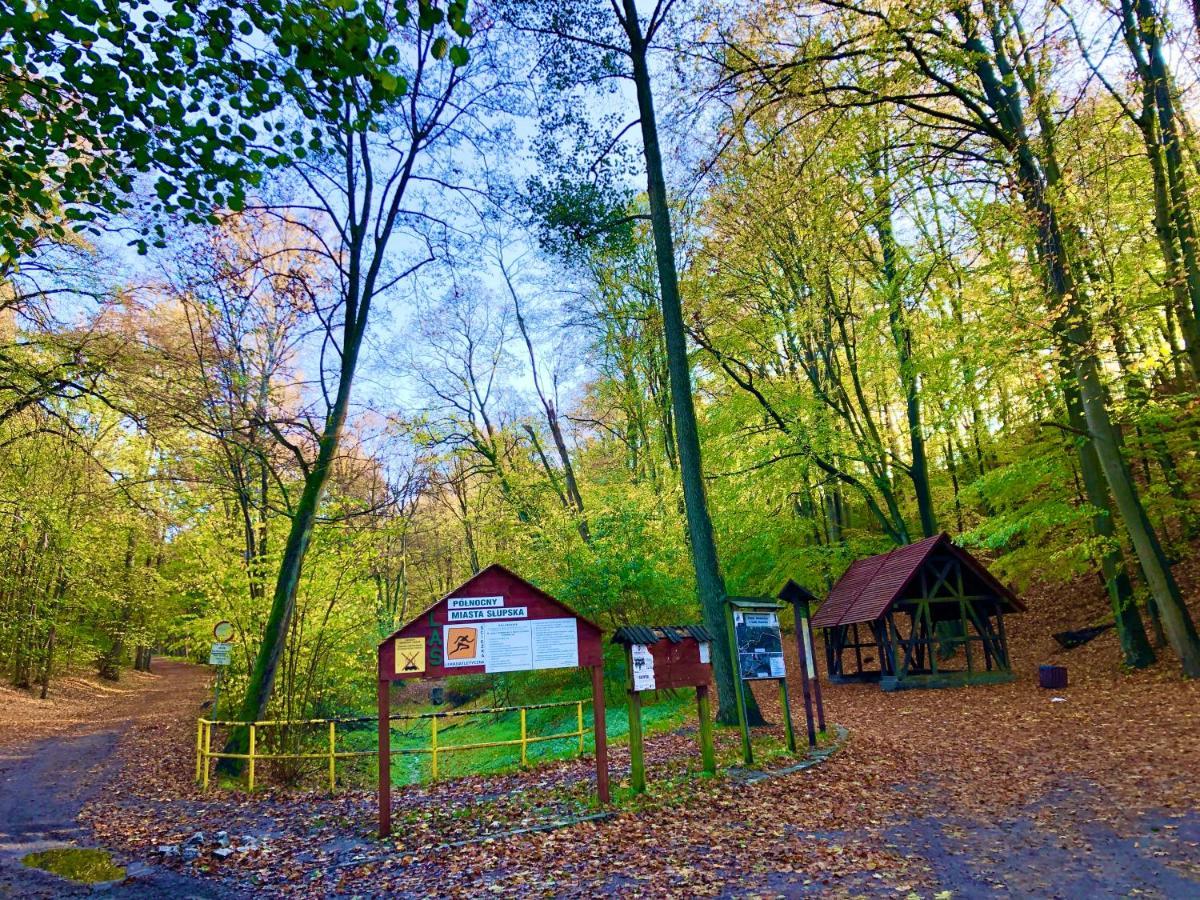 Las Slupski Premium Panoramic Apartament Nr8 Wifi Netflix Smart Tv55 Full Kitchen Double Bathtub Up To 4 People Full Pleasure Quality Stay (Adults Only) Eksteriør billede